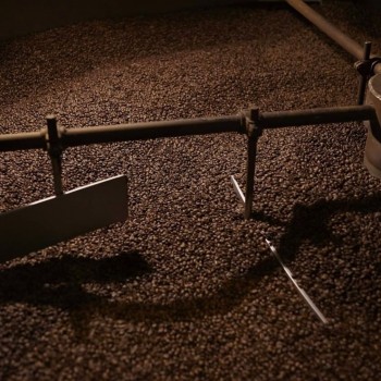 Café en grains Café en grains - 1927 Blend 100% Arabica - Caffè Carraro 1927 - 250gr C1927G250