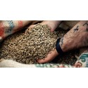 Home 8x Premium Quality Italian Coffee beans – Columbia - 500gr - Mokarico Firenze MOKACOL-G8X
