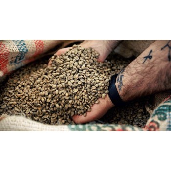 Home 8x Premium Quality Italian Coffee beans – Columbia - 500gr - Mokarico Firenze MOKACOL-G8X