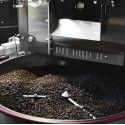 Accueil 100 Capsules Lollo Caffè – Passionespresso Classico - Compatibles Nespresso® PASNESCLAS100