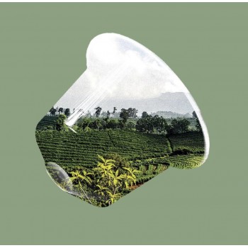 Home 100 Nespresso® Compatible Capsules - Rwanda Single Origin - Caffè Carraro 1927 CARRWANES100