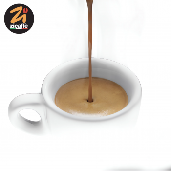 ESE Paper Pods Zicaffè - Gustosa - 50 ESE Coffee pods ZICGUST50ESE