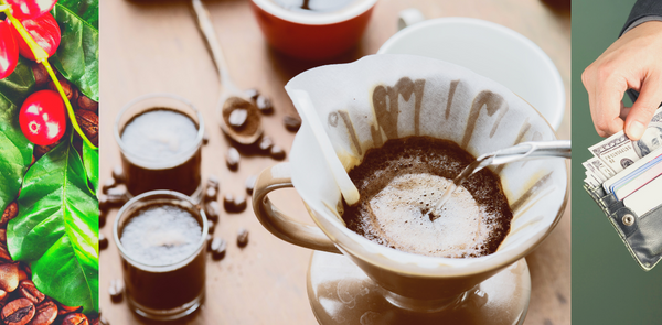 Pourquoi les SPECIALITY COFFEE sont-ils si CHERS?